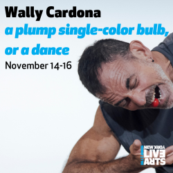 a plump single-color bulb, or a dance by Wally Cardona 