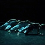 MALE DANCER NEEDED. Paid performances 