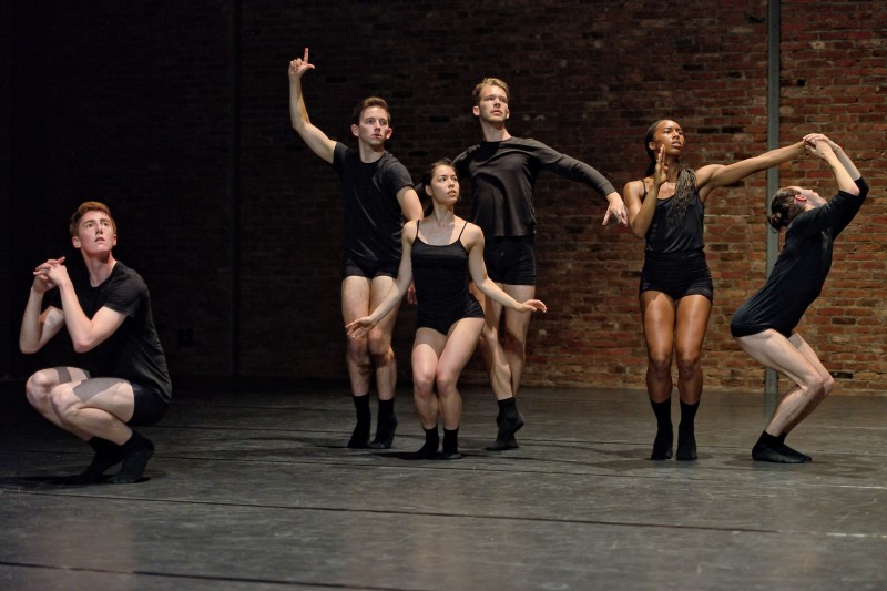 Springboard Danse Montréal - 2016 Company Lineup and Auditions