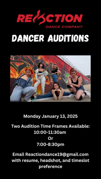 audition poster 