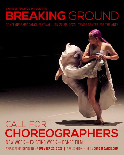 Single dancer with one leg raised.  Text with Nov 25 deadline and website included. 