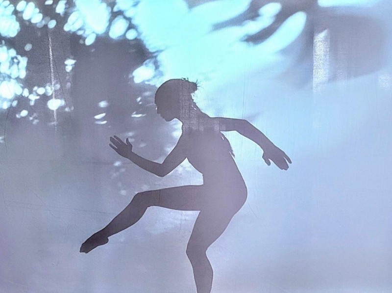 silhouette of a dancer posed in profile standing on one leg with the other in front, arms and legs bent; abstract background