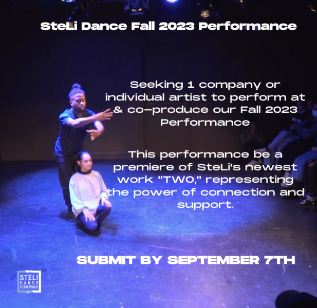 Background of a duet from a SteLi Dance performance, one dancer crouched down and the other one standing behind them