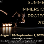 A dancer in dim lighting stands on one leg with the other extended behind. Text reads: SUMMER IMMERSION PROJECT+AUDITION