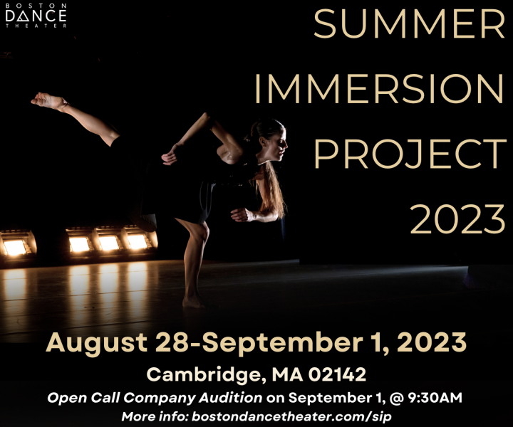 A dancer in dim lighting stands on one leg with the other extended behind. Text reads: SUMMER IMMERSION PROJECT+AUDITION