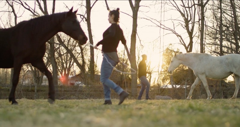 Equus Dancers: Kat Reese, Clement Mensah with Roxy and Pegasa during filming hours on set outdoors for  our film. 