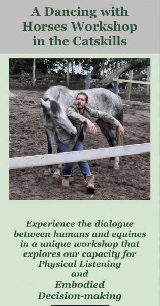 A Dancing with Horses Workshop in the Catskills