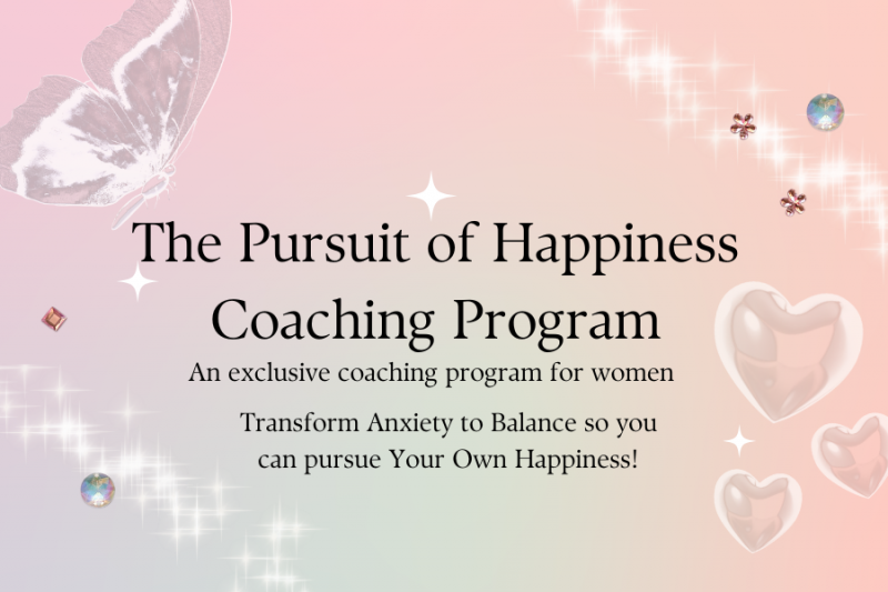 description of pursuit of happiness program