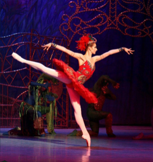 Firebird Cirque Ballet