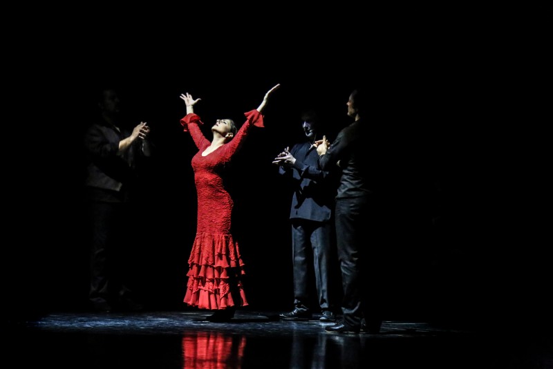 Omayra Amaya Flamenco Dance Company presents ANTES DEL FINArrow Street Arts