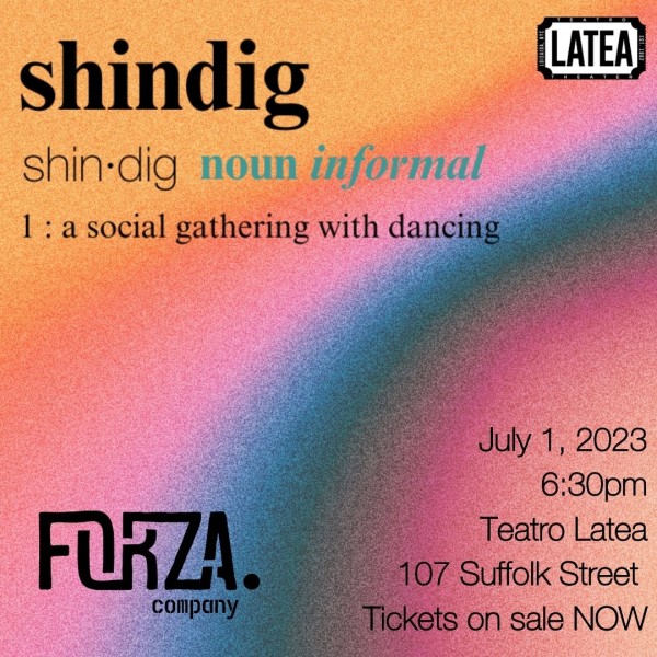 Shindig - “a social gathering with dancing”