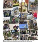 Various images presenting work actions in the garden from weeding to plant rescue, including gardeners and volunteers