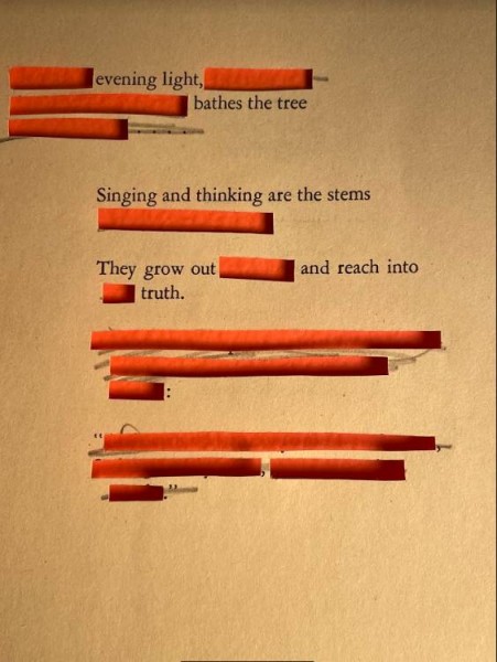 Erasure Poem by Lauren Noelle Oliver