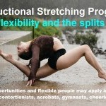 Stretching Program