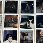 A collage of Polaroid square images of the artist, deer, and various scenes