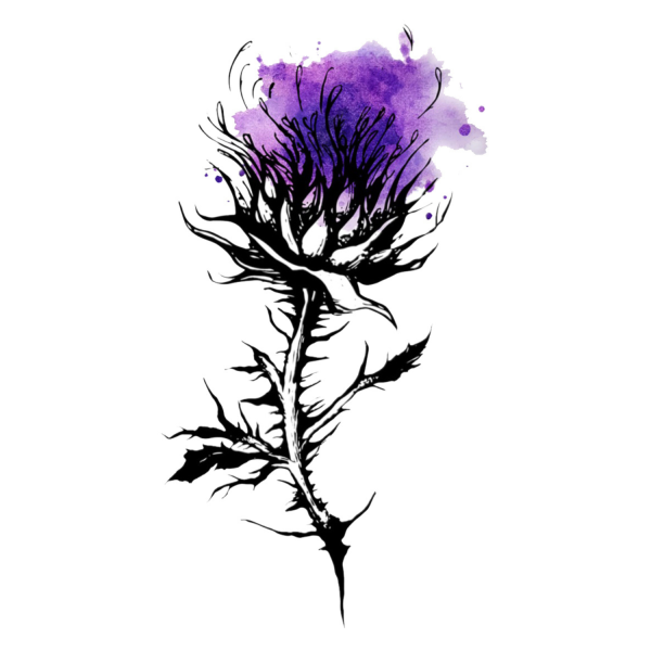 A logo of a Thistle, in the style of a tattoo, with a top of Purple Watercolor