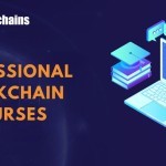 professional blockchain course