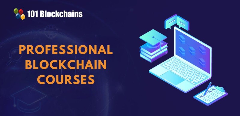 professional blockchain course