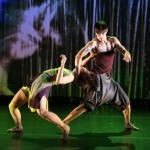 WHITE WAVE Young Soon Kim Dance Company is seeking  a FESTIVAL COORDINATOR