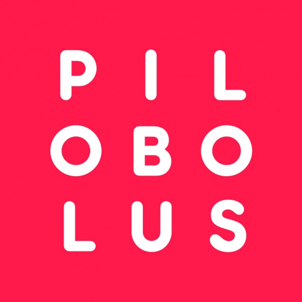 Pilobolus Mens Auditions in NYC