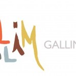 Gallim Dance Seeks Interns beginning January 2015