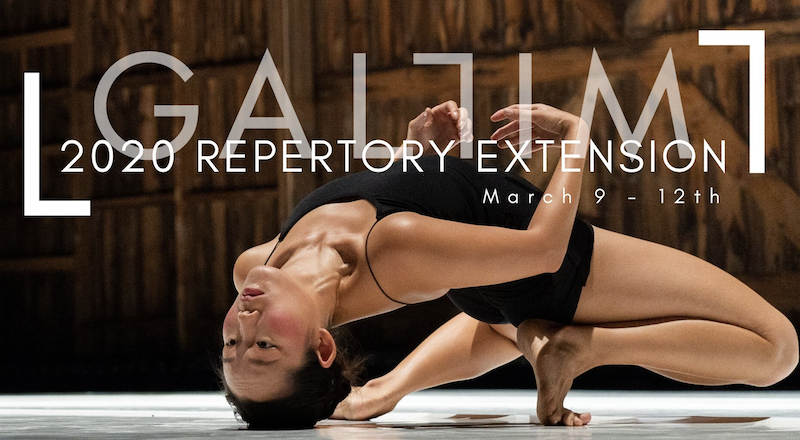 GALLIM Company Artist performs at the 2019 Jacob's Pillow Festival, shared to promote GALLIM's 2020 Repertory Extension Program