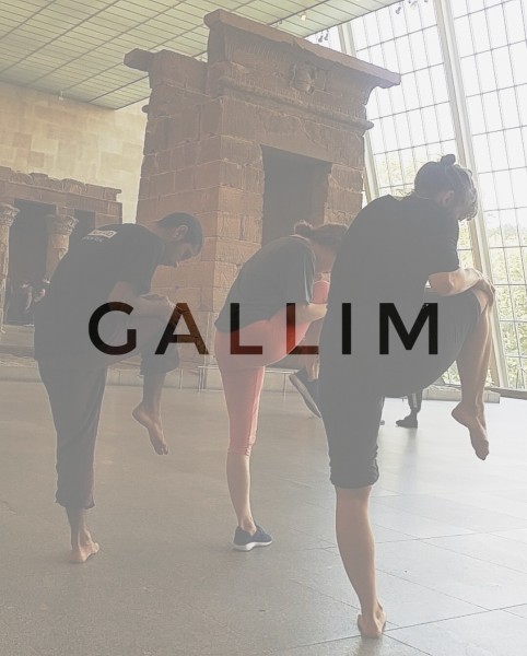 Gallim Dance 