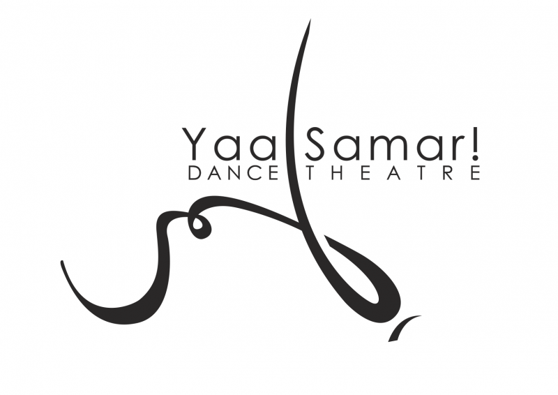 YSDT logo in black text on white background