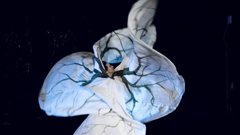 Jody Sperling in "American Elm" wearing a Loie Fuller style costume painted with tree limbs.