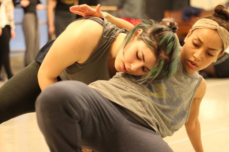 pushing progress seeks 2 dancers for 2014-2015 Professional Development Program