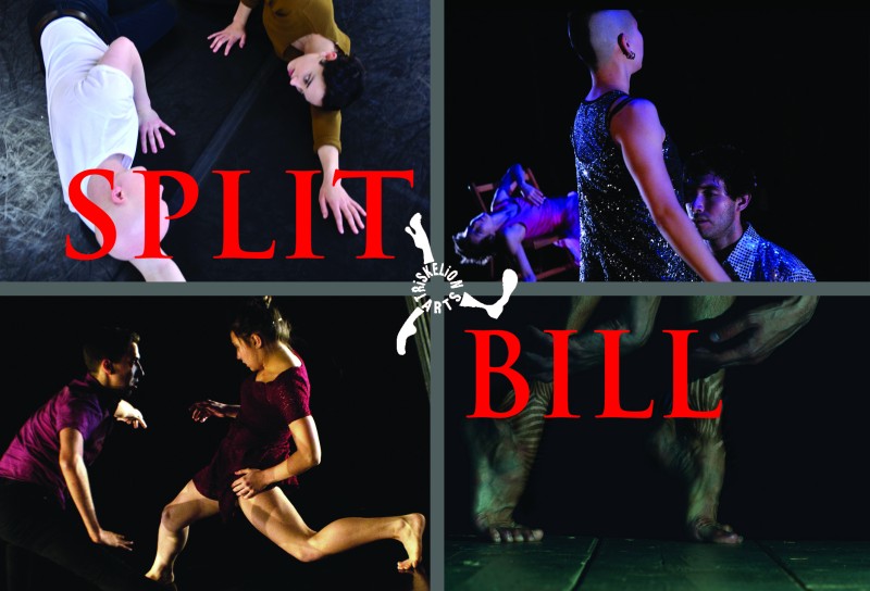 Apply now for Triskelion Arts' Split Bill Series