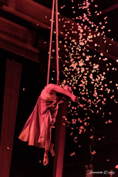 A performer on a trapeze with falling rose petals around them