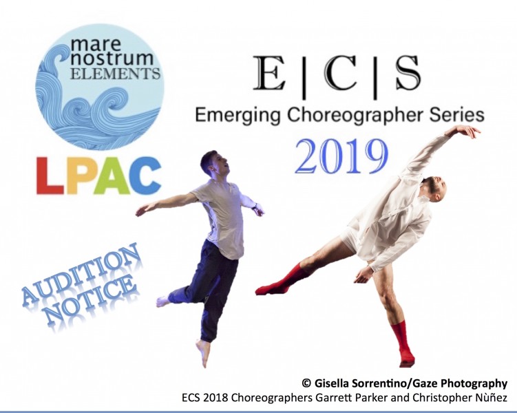 ECS 2019 dance audition artwork