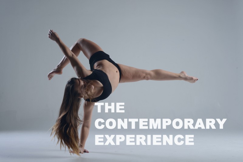 The Contemporary Dance Experience workshop, audition and Job Fair