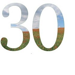 30 Artists/ 30 Years Fielday