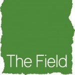 Field Leadership Fund: Arts Manager Fellowship