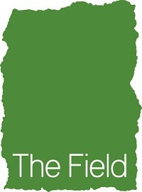 Field Leadership Fund: Arts Manager Fellowship