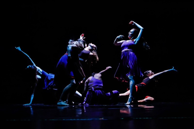 Choreographic Opportunity - Identically Different 2015 