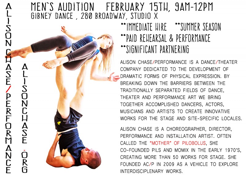 Audition info flyer