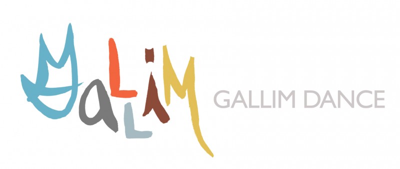 Gallim Dance CRM Project Manager