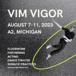 VIM VIGOR summer program - man jumping and falling through space